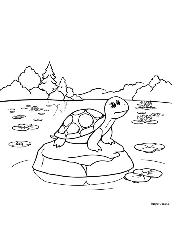 Schattige Schildpad Kleurplaat