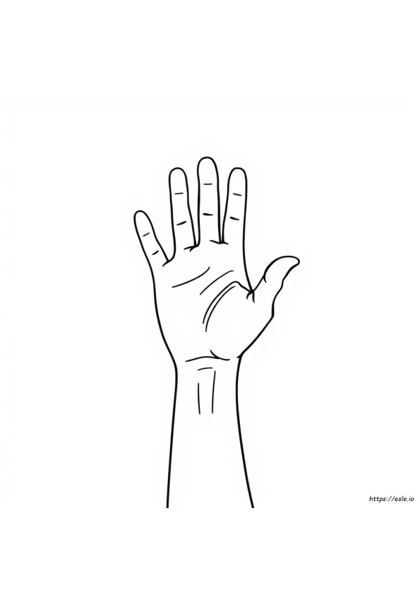 Raise Your Hand Coloring Page
