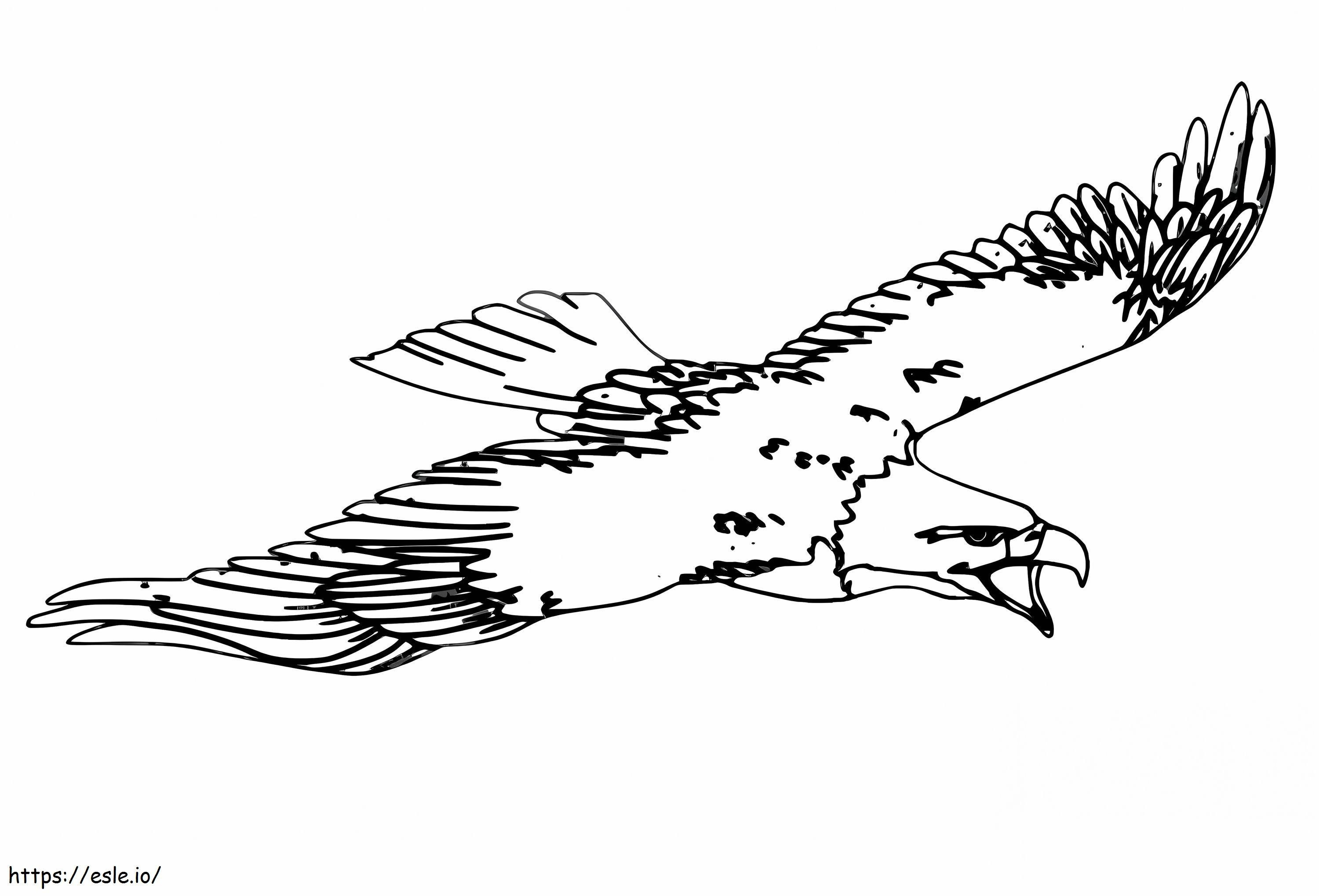 Coloriage Grand vol de l'aigle à imprimer dessin