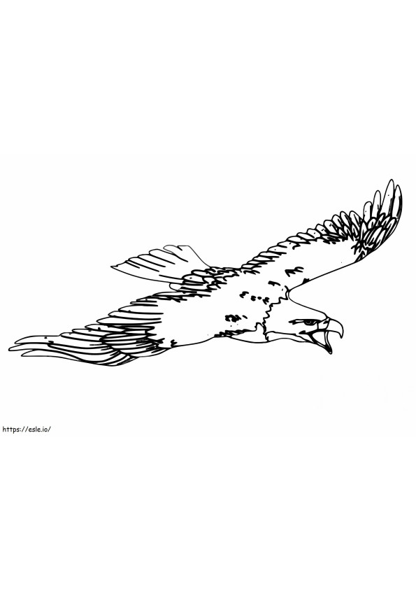 Coloriage Grand vol de l'aigle à imprimer dessin