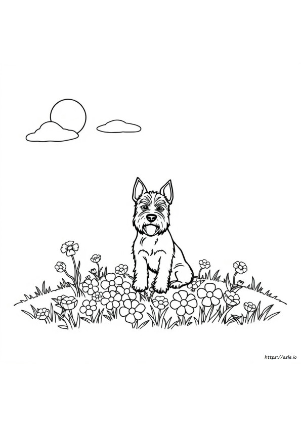 Terrier Da Colorare