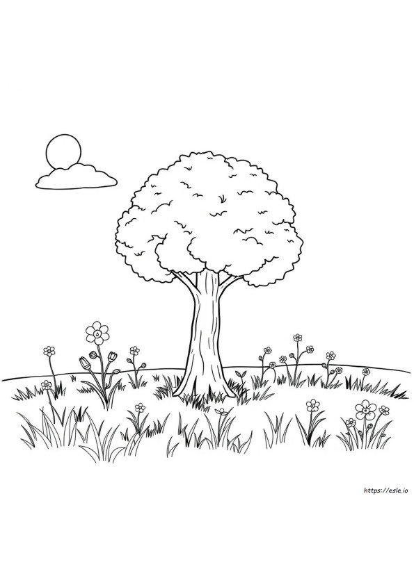 Stable Coloring Page