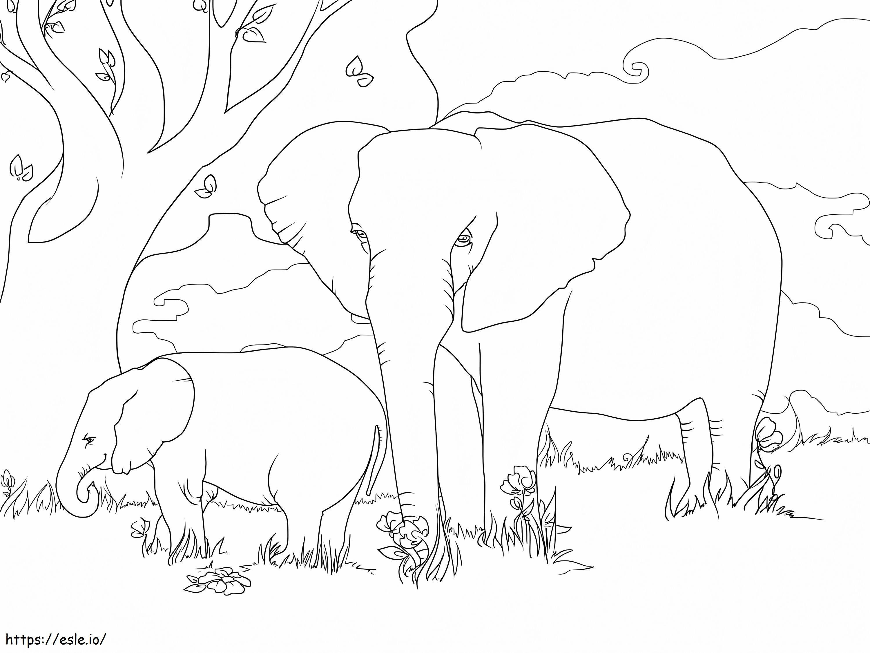 Coloriage Éléphants de brousse d'Afrique à imprimer dessin