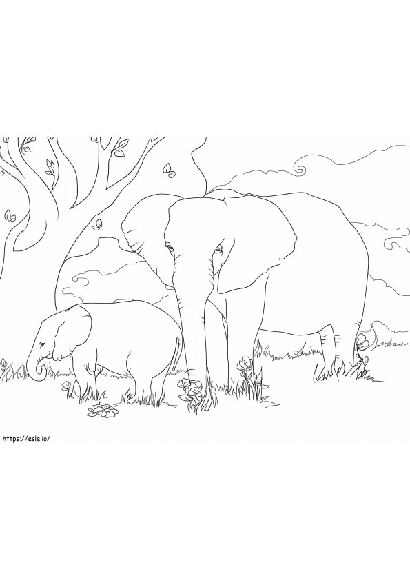 Elefantes africanos para colorir