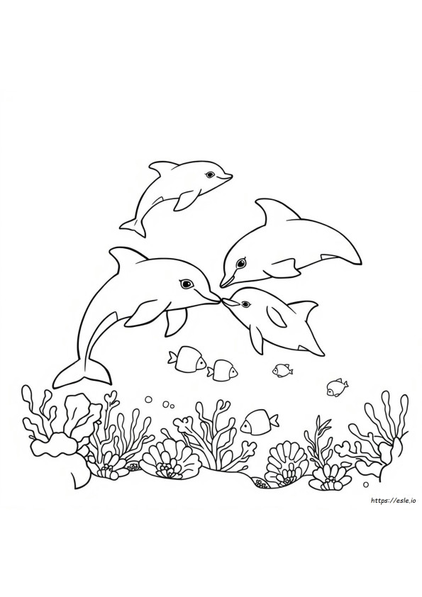 Dolphin Drawing For Colouring