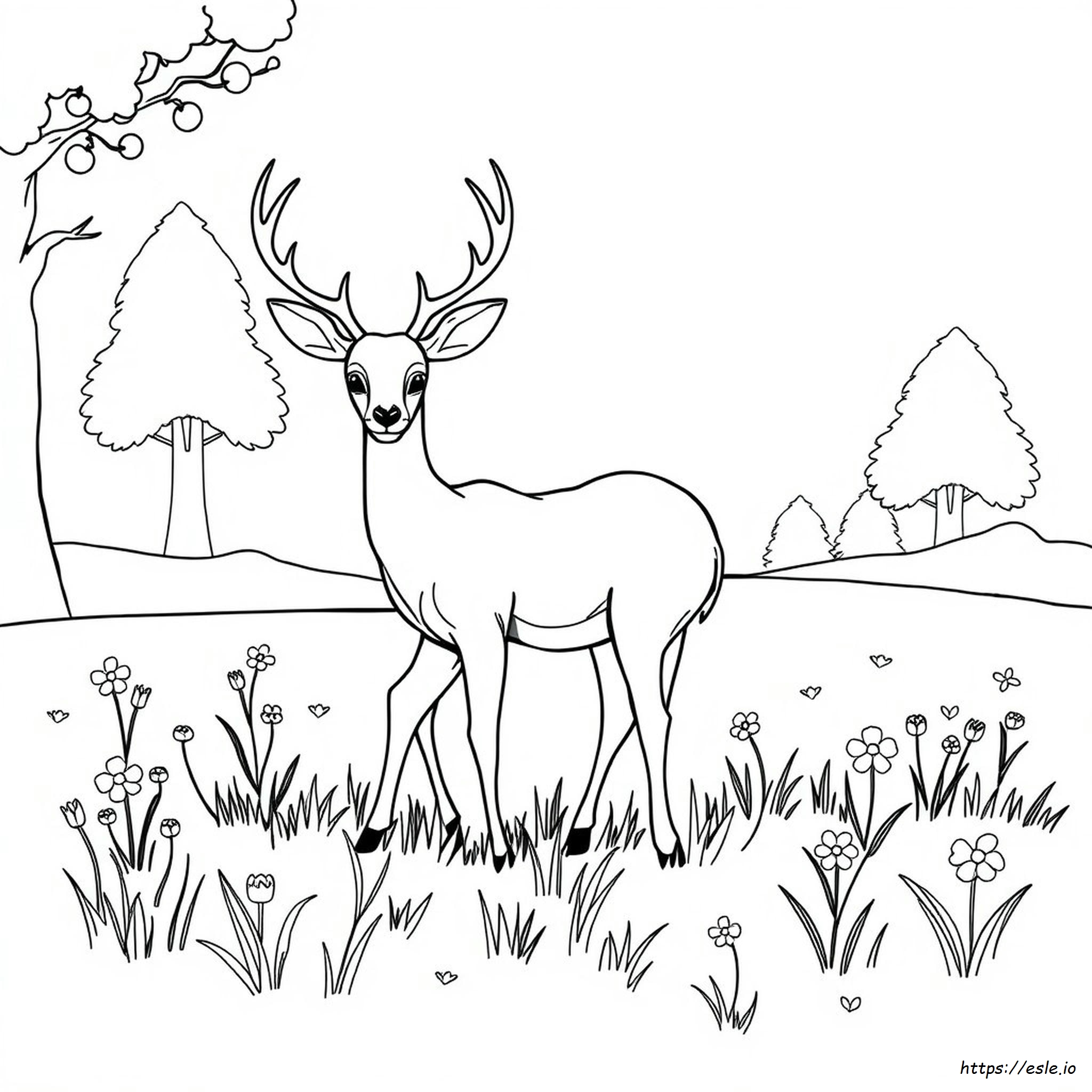 Deer Coloring Pages Pdf
