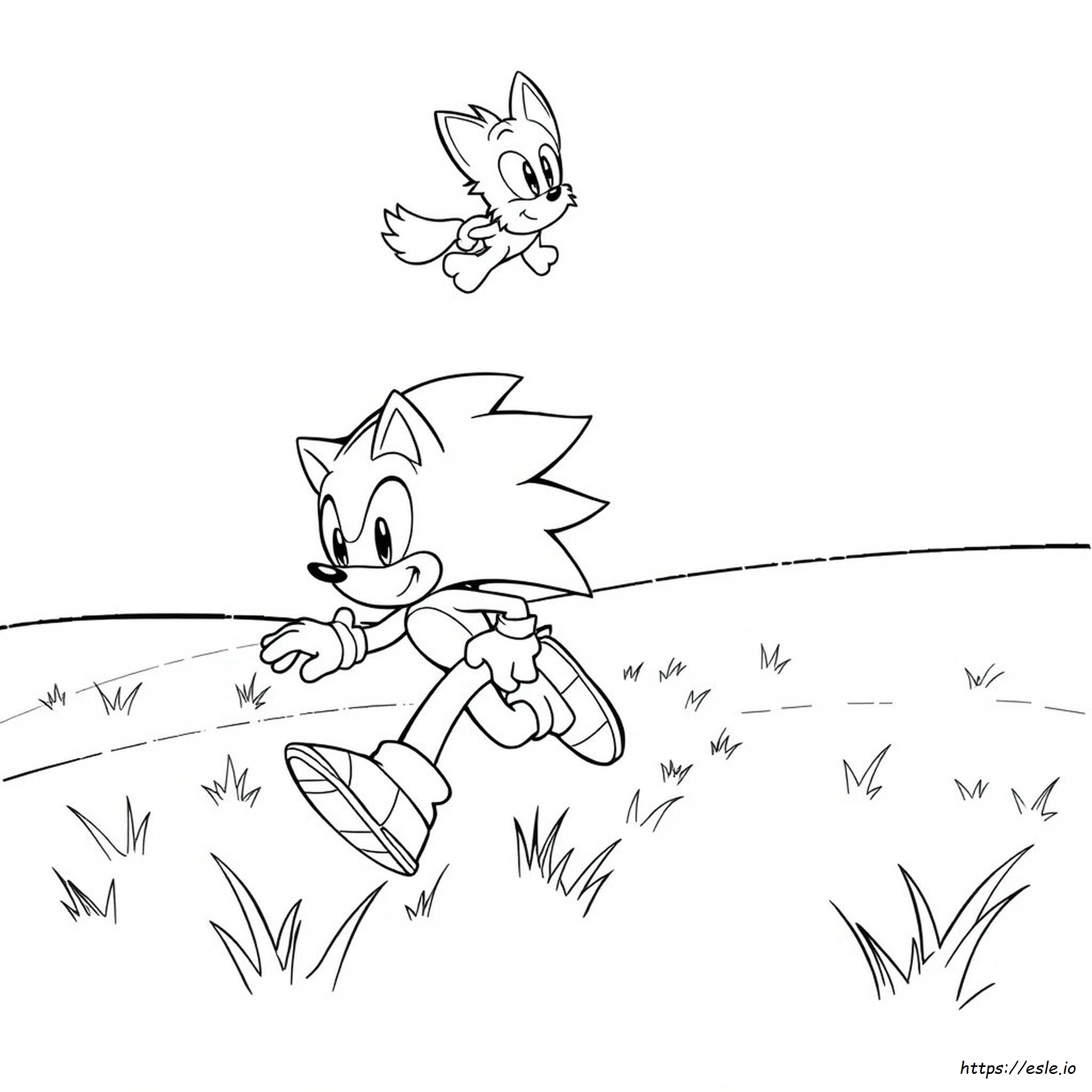 Sonic Ve Arkadaşları Boyama