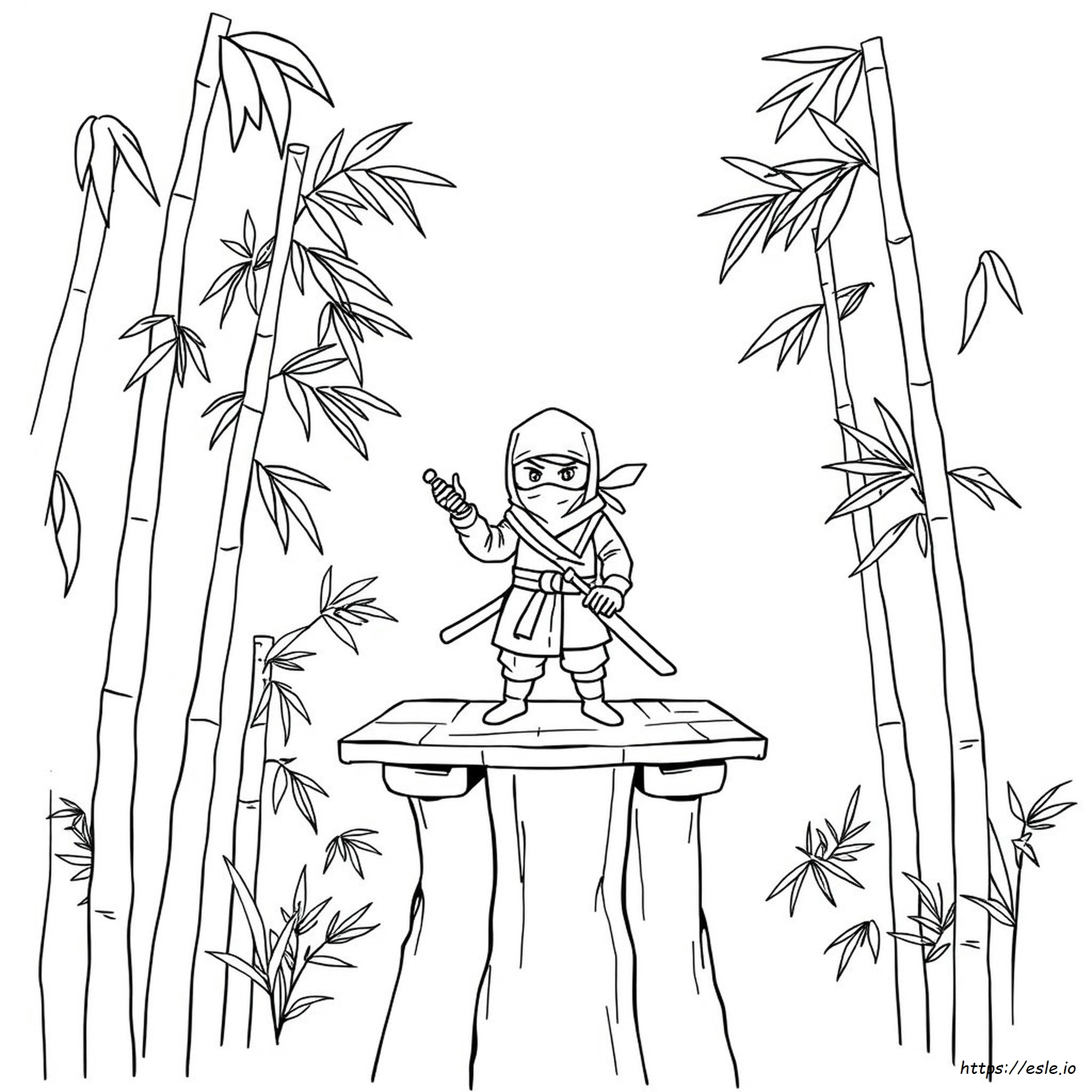 Ninja Colouring In Pages