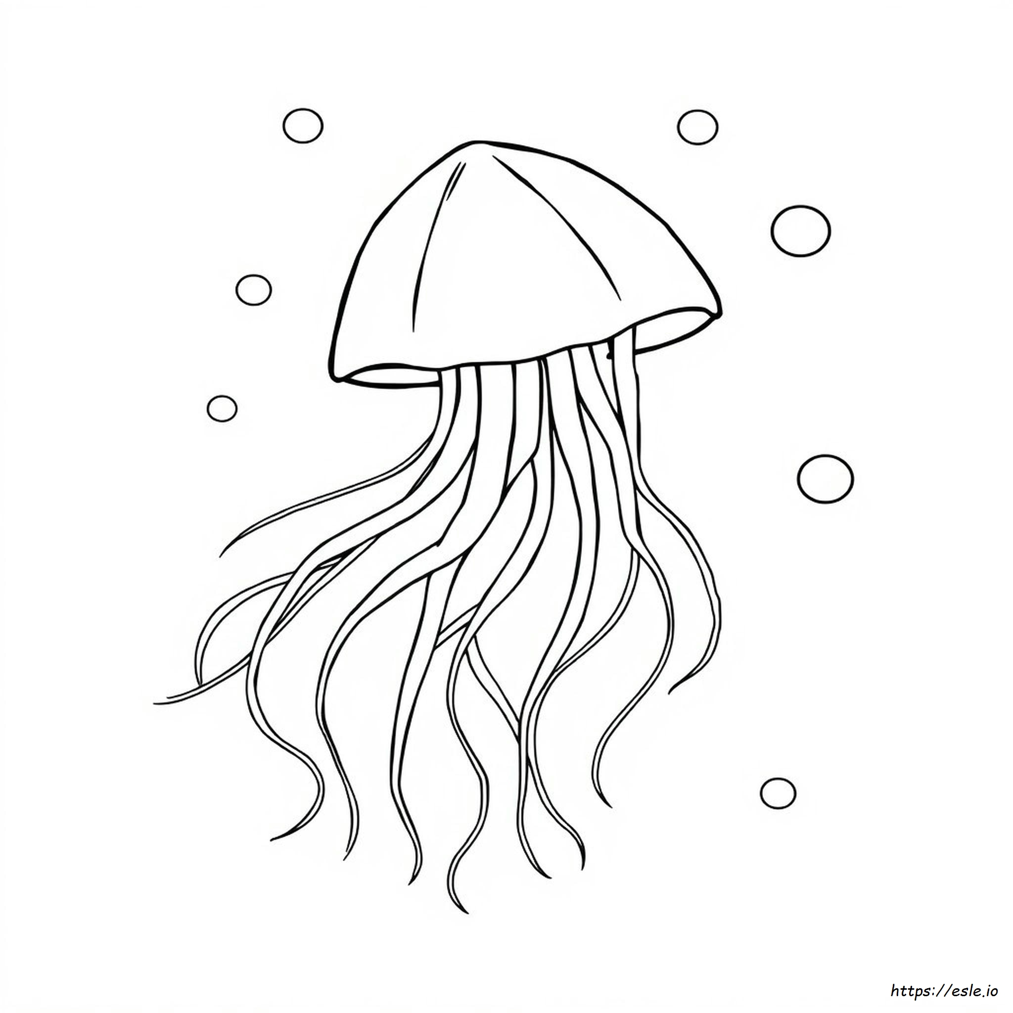 Jellyfish Coloring Picture