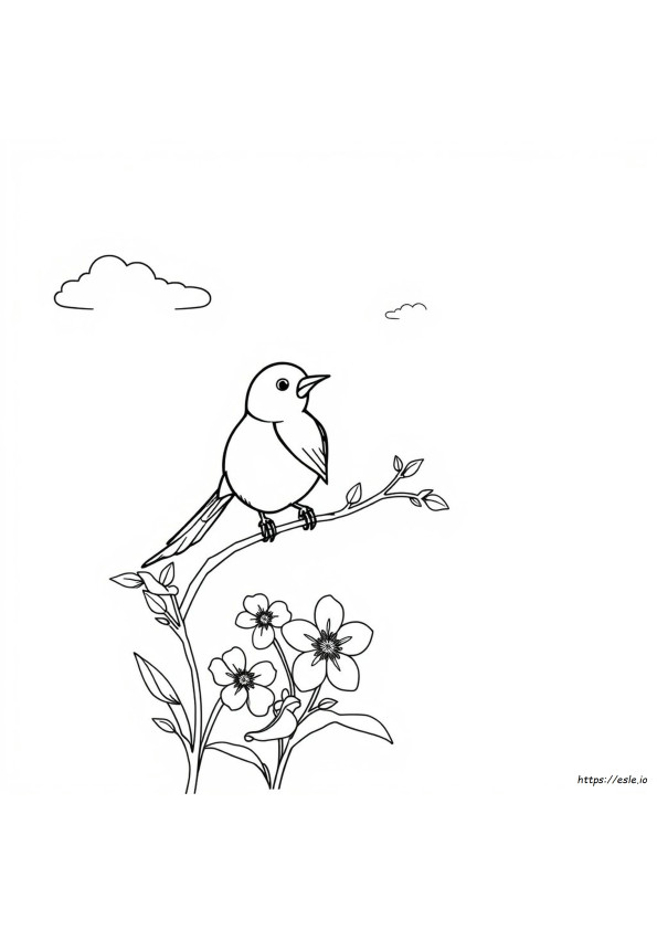Pretty Bird Coloring Pages