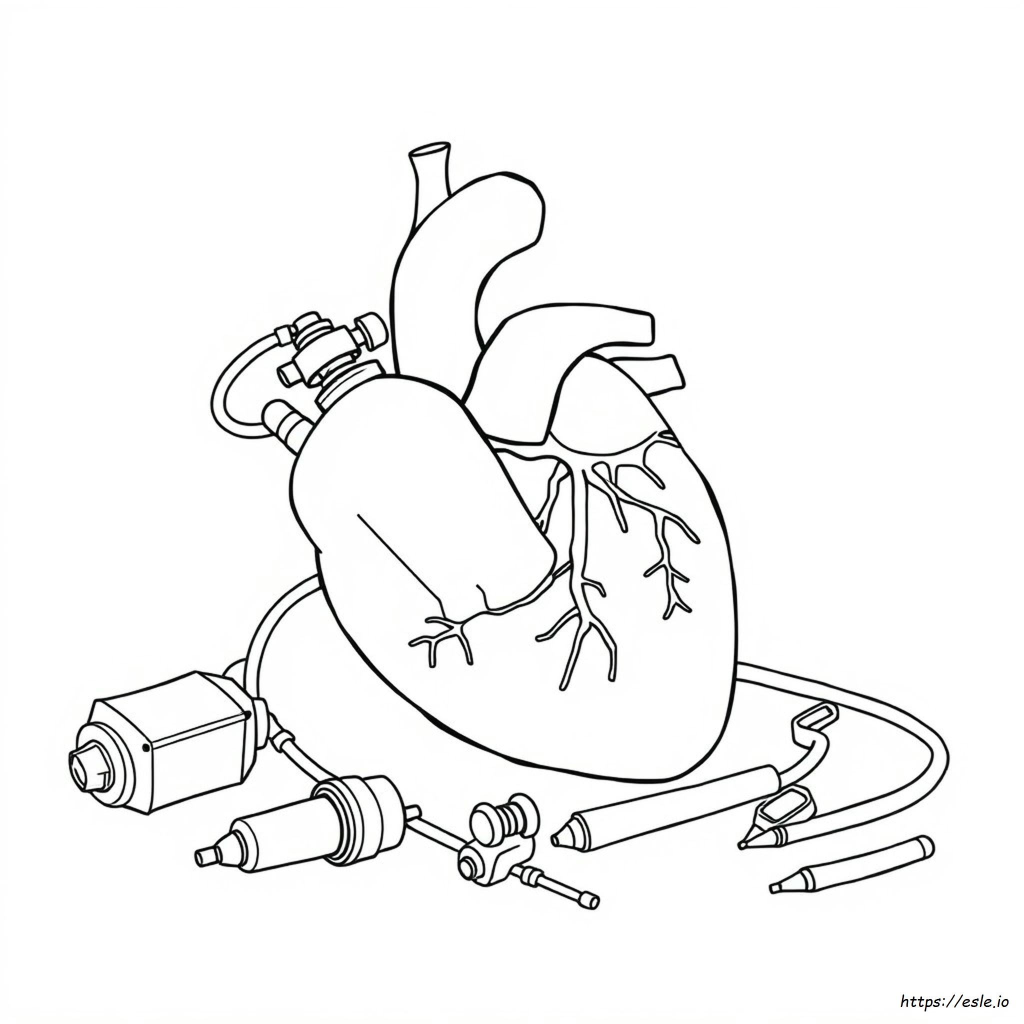 Organ Coloring Pages