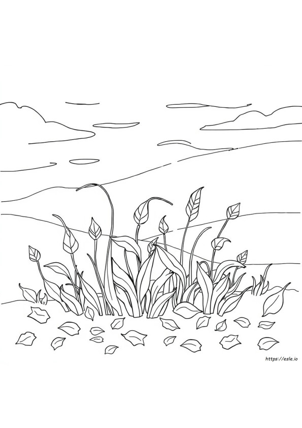 Disegni Da Colorare Di Piante Autunnali
