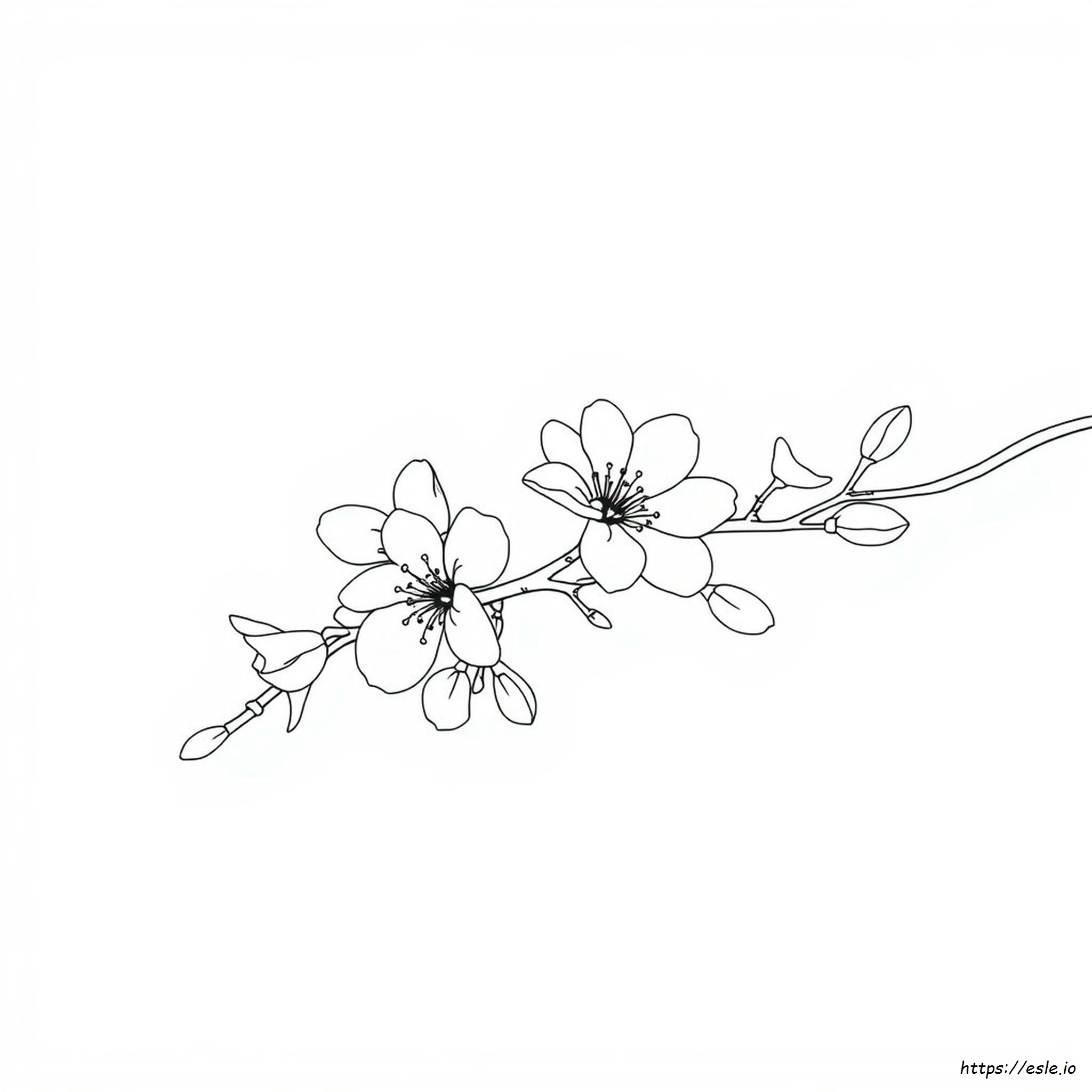 Flor Para Colorear