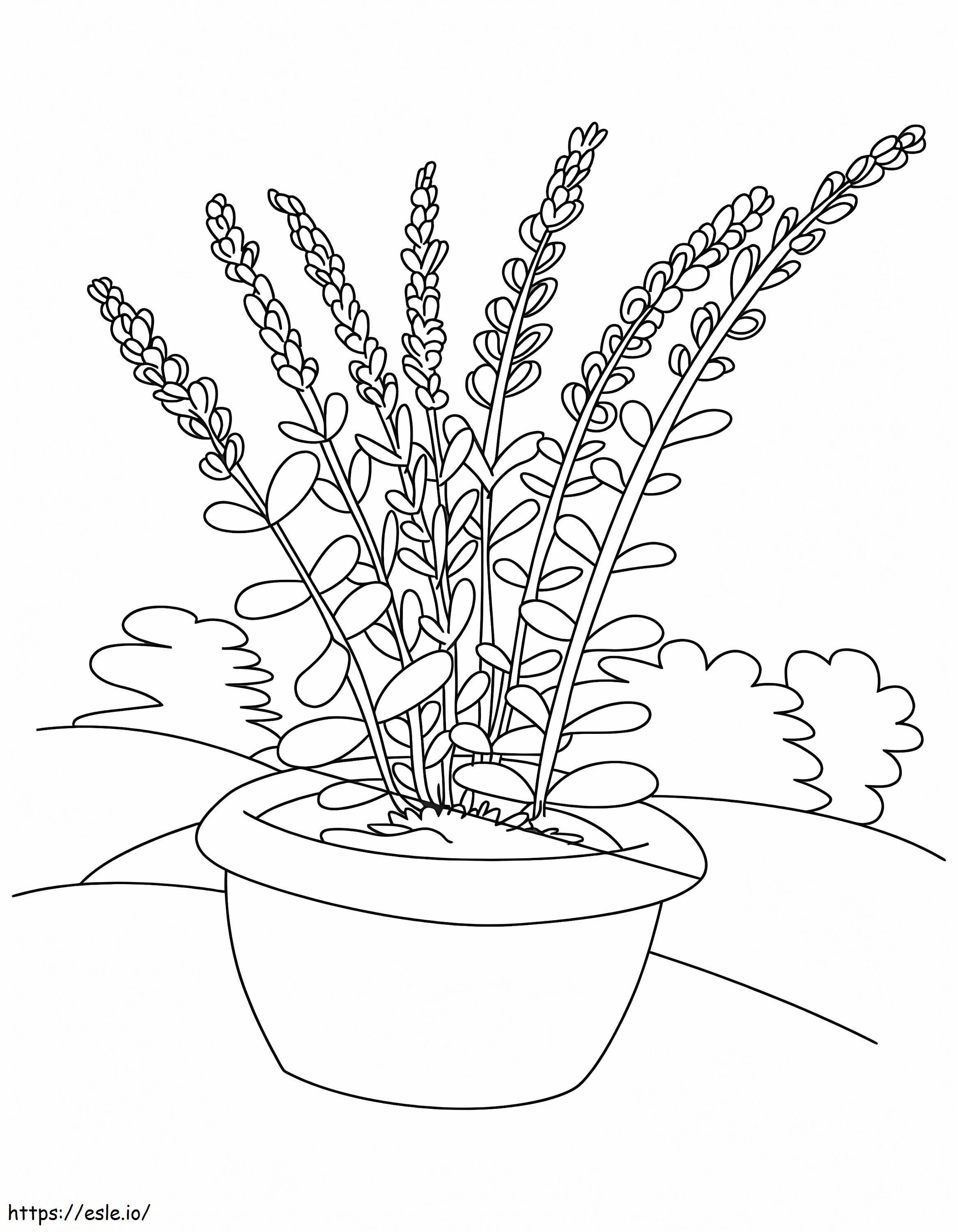 Flower Pot Printable coloring page