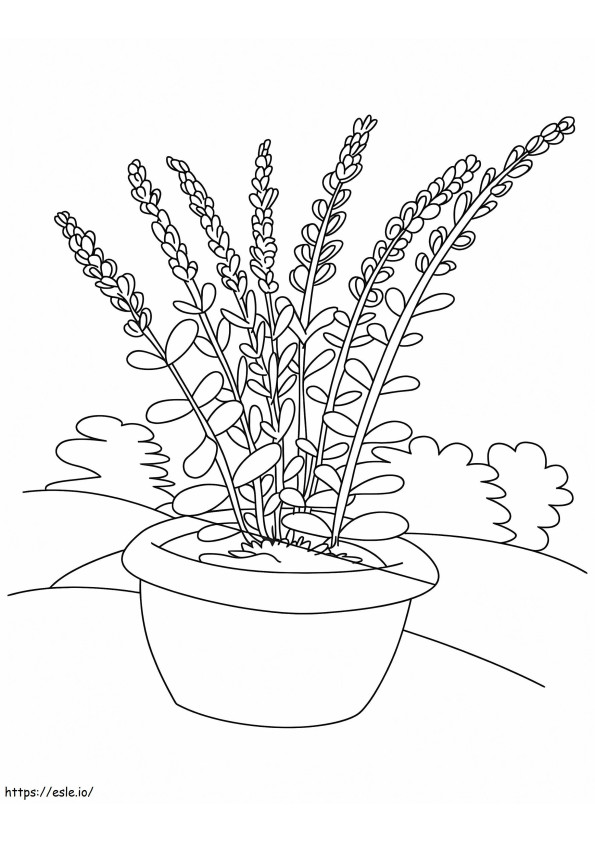 Flower Pot Printable coloring page