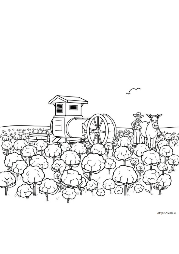 Mașină De Egrenat Bumbac De Colorat