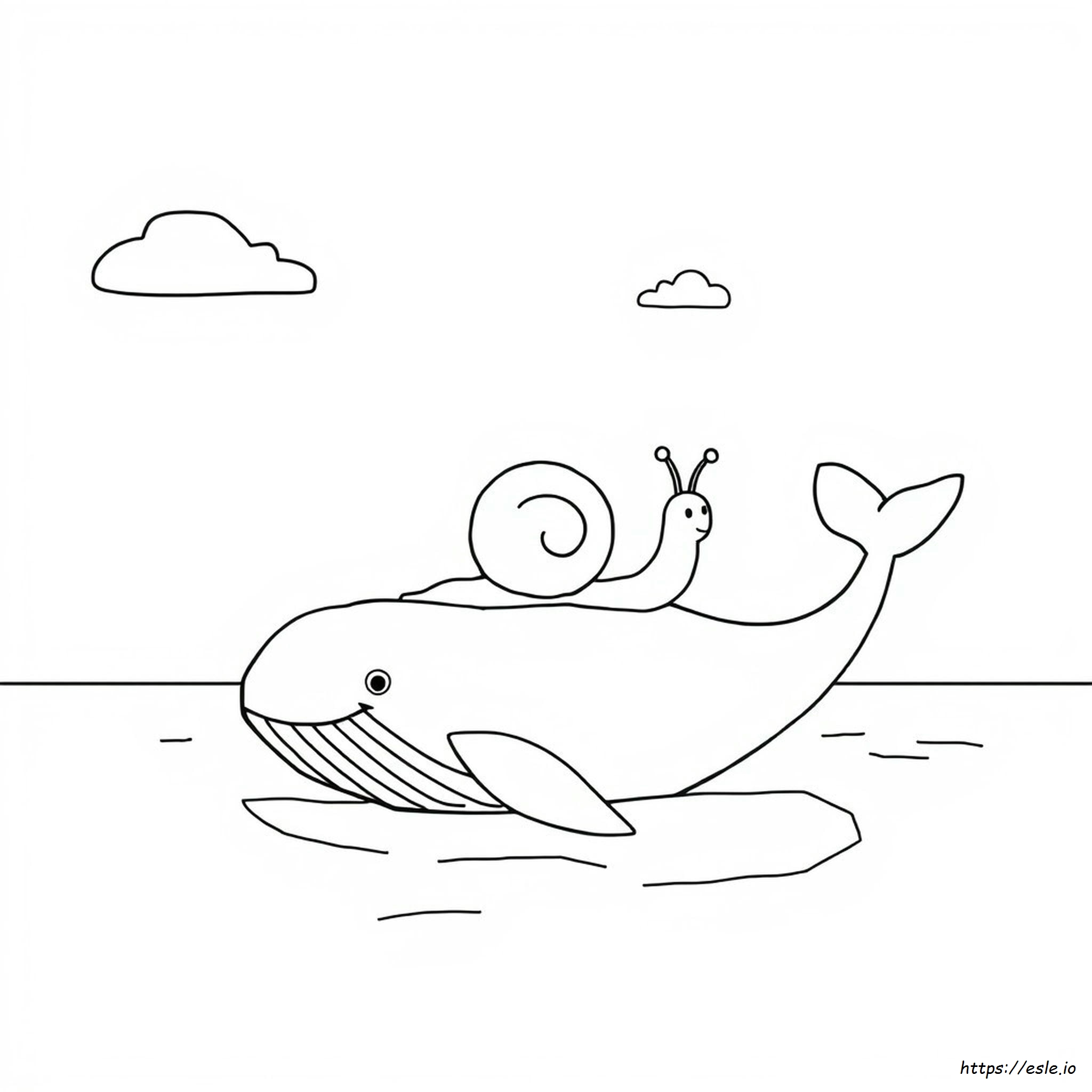 Snail And The Whale Colouring