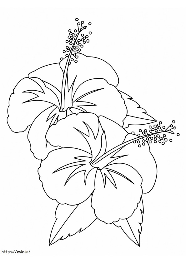 ハイビスカスの花 4 ぬりえ - 塗り絵