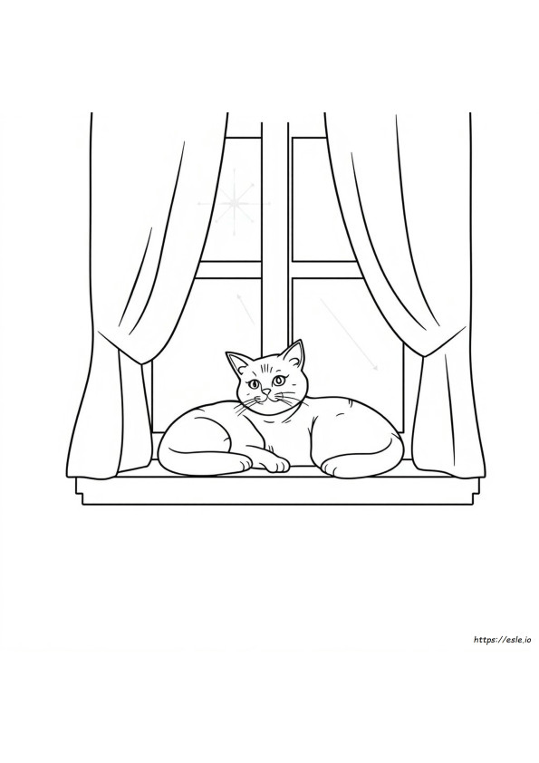 Gatos Realistas Para Colorir
