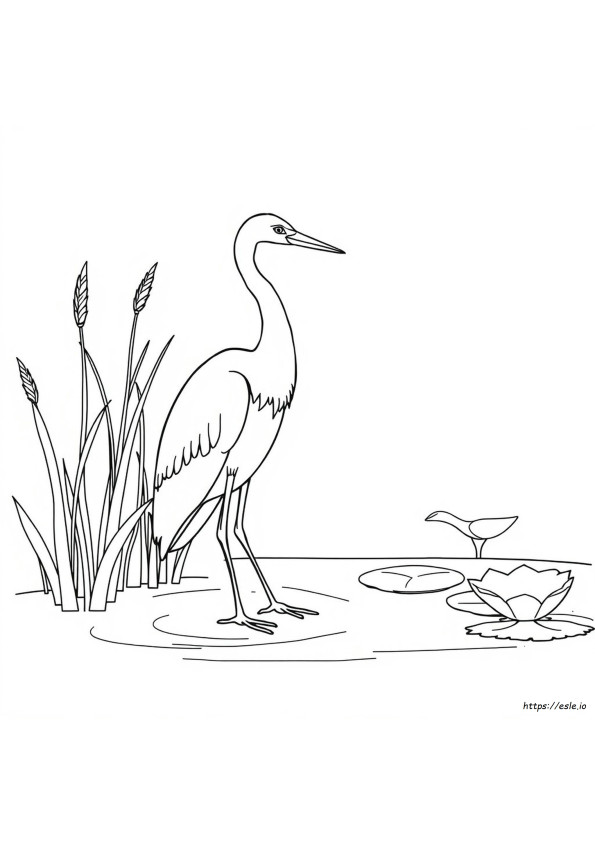 Egret Colour Meaning