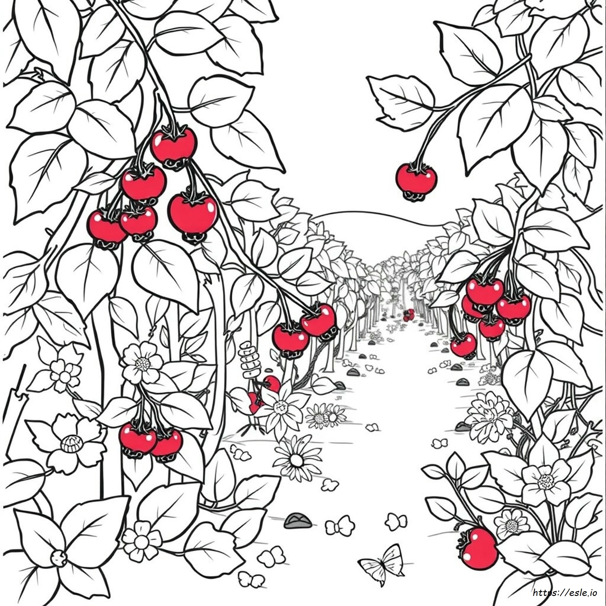 Is Cranberry A Color