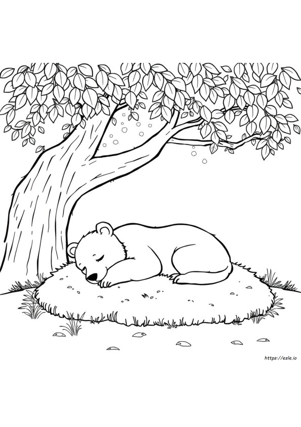 Coloriage Ours Qui Dort À Imprimer
