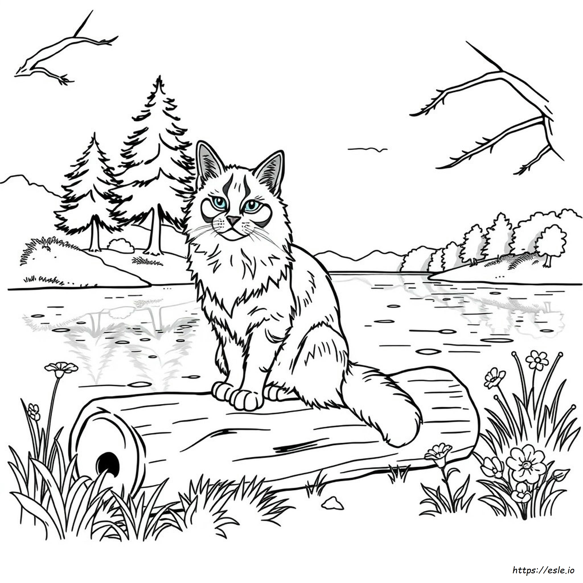 Maine Coon Para Colorear