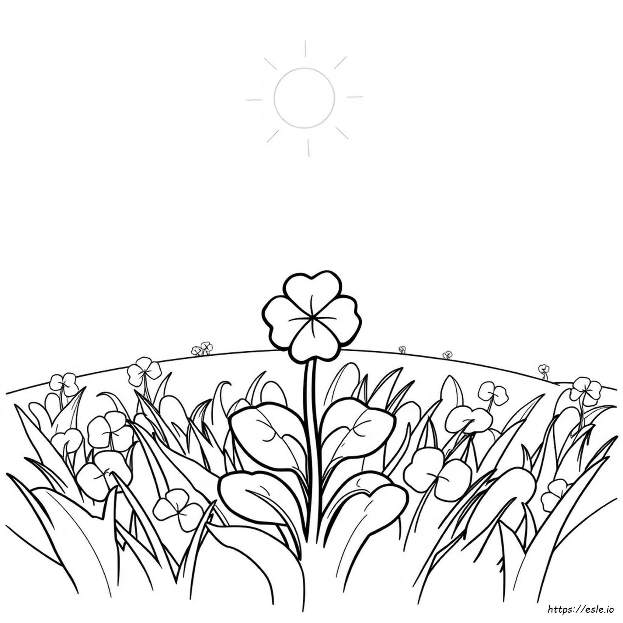 Shamrock Colouring Pages Printable