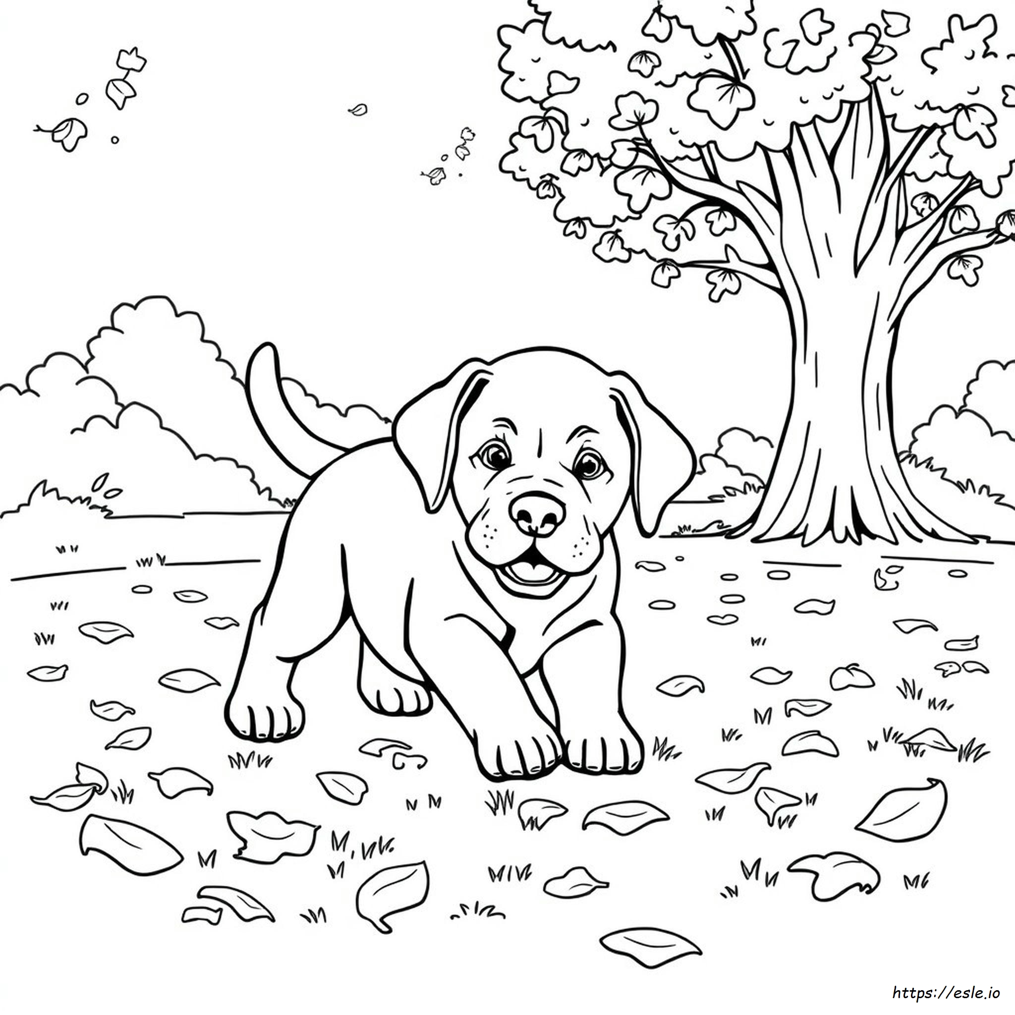 Labrador Puppy Coloring Pages