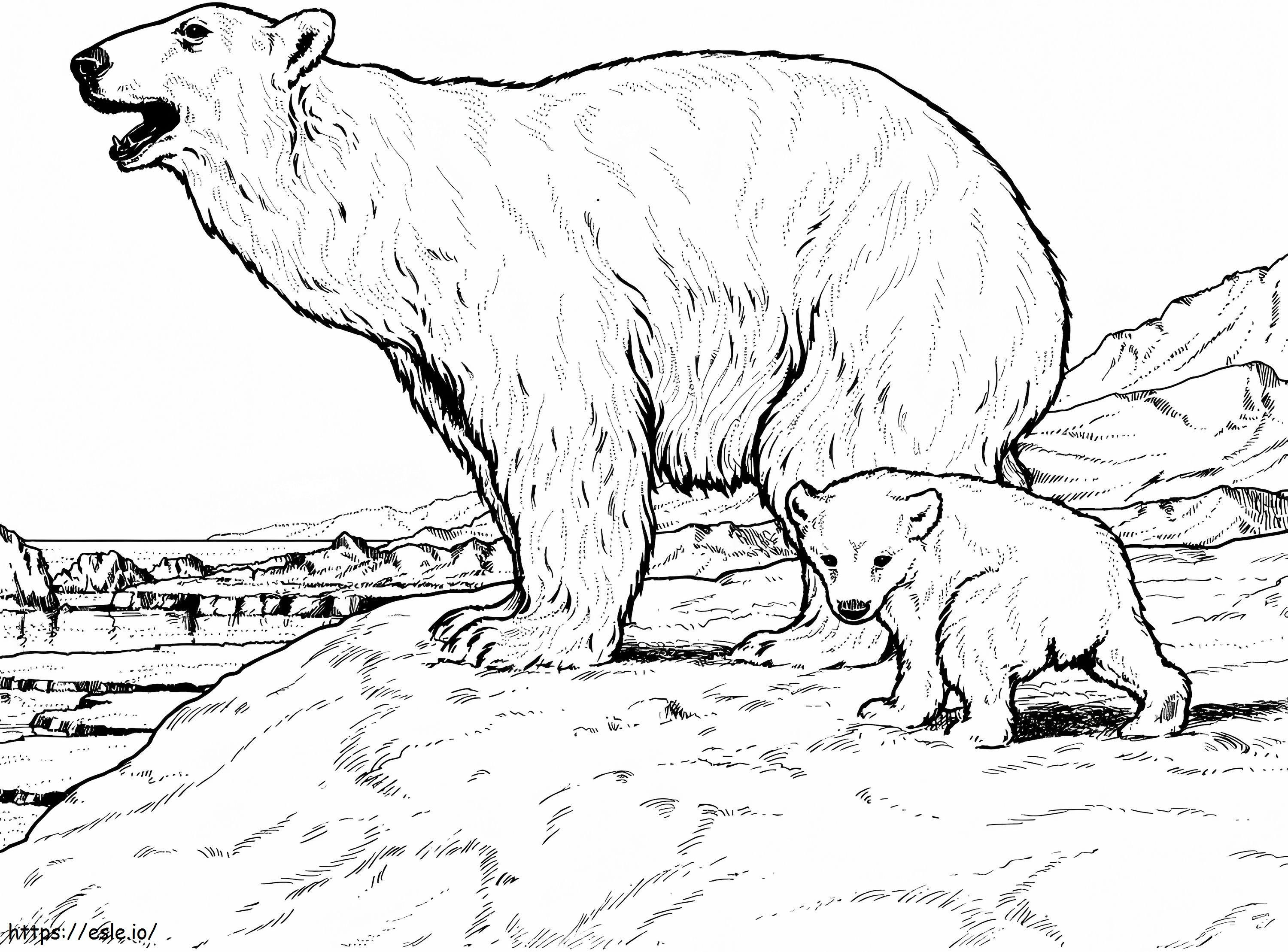 Ibu dan Bayi Beruang Kutub Gambar Mewarnai