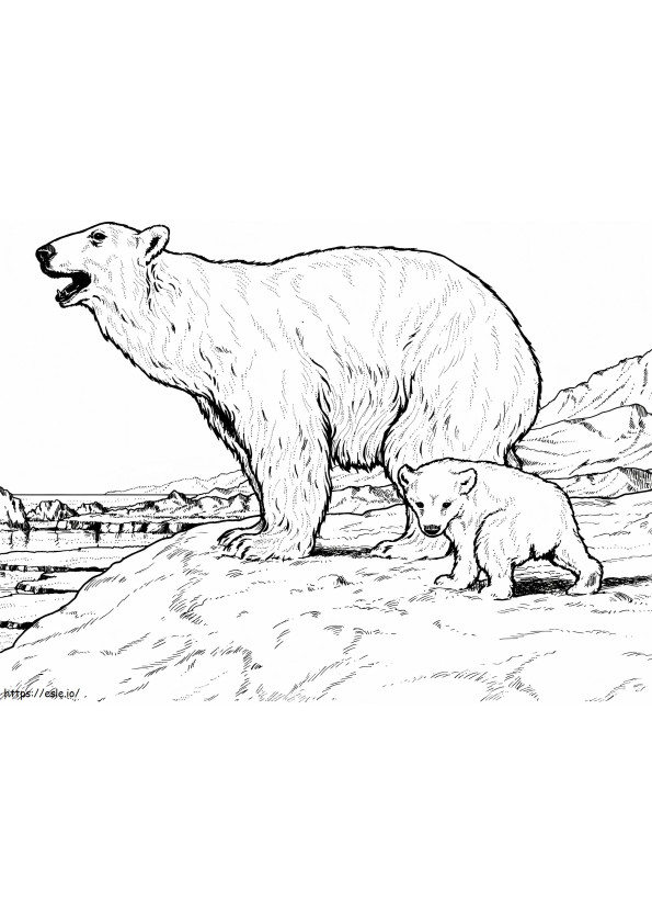 Polar Bear Mother And Baby coloring page