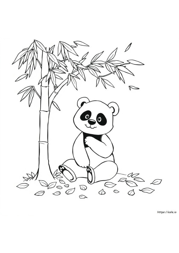 Desenho De Panda Para Colorir