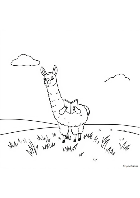 Lhamas Sem Drama Para Colorir