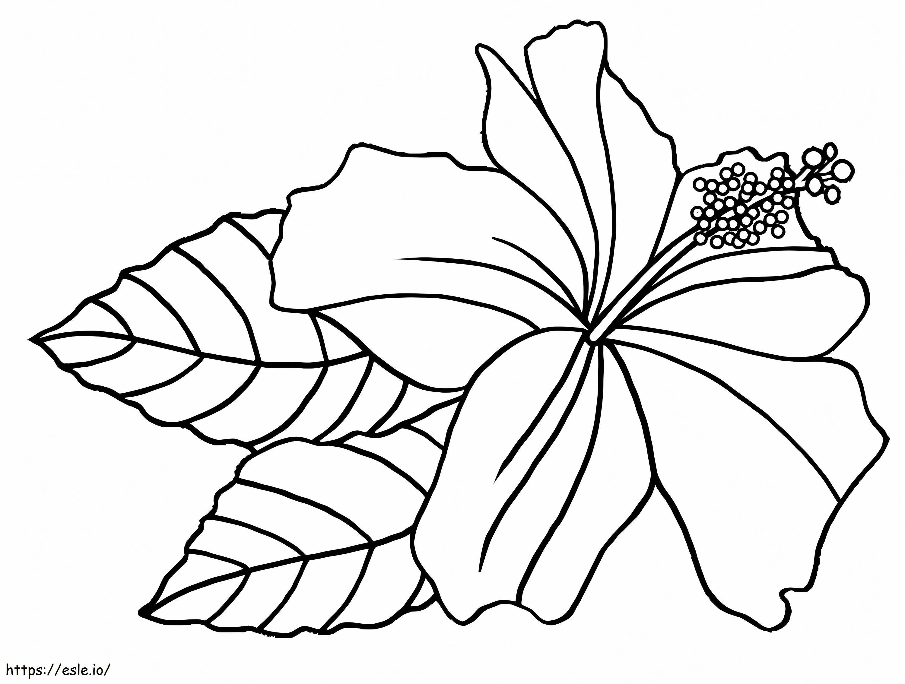 Flor de Hibisco 2 para colorir
