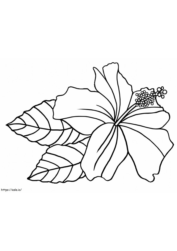 Flor de Hibisco 2 para colorir