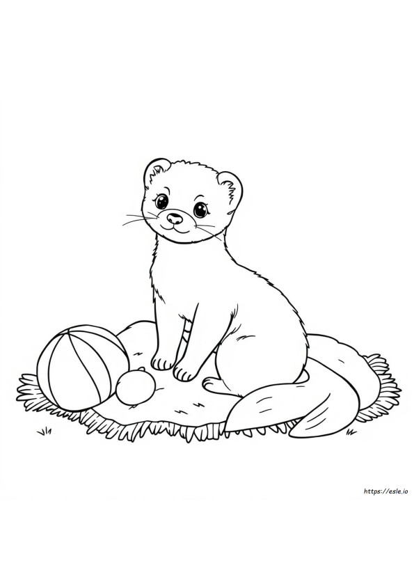 Coloriage Furet Mignon Or Coloriage À Imprimer Furet