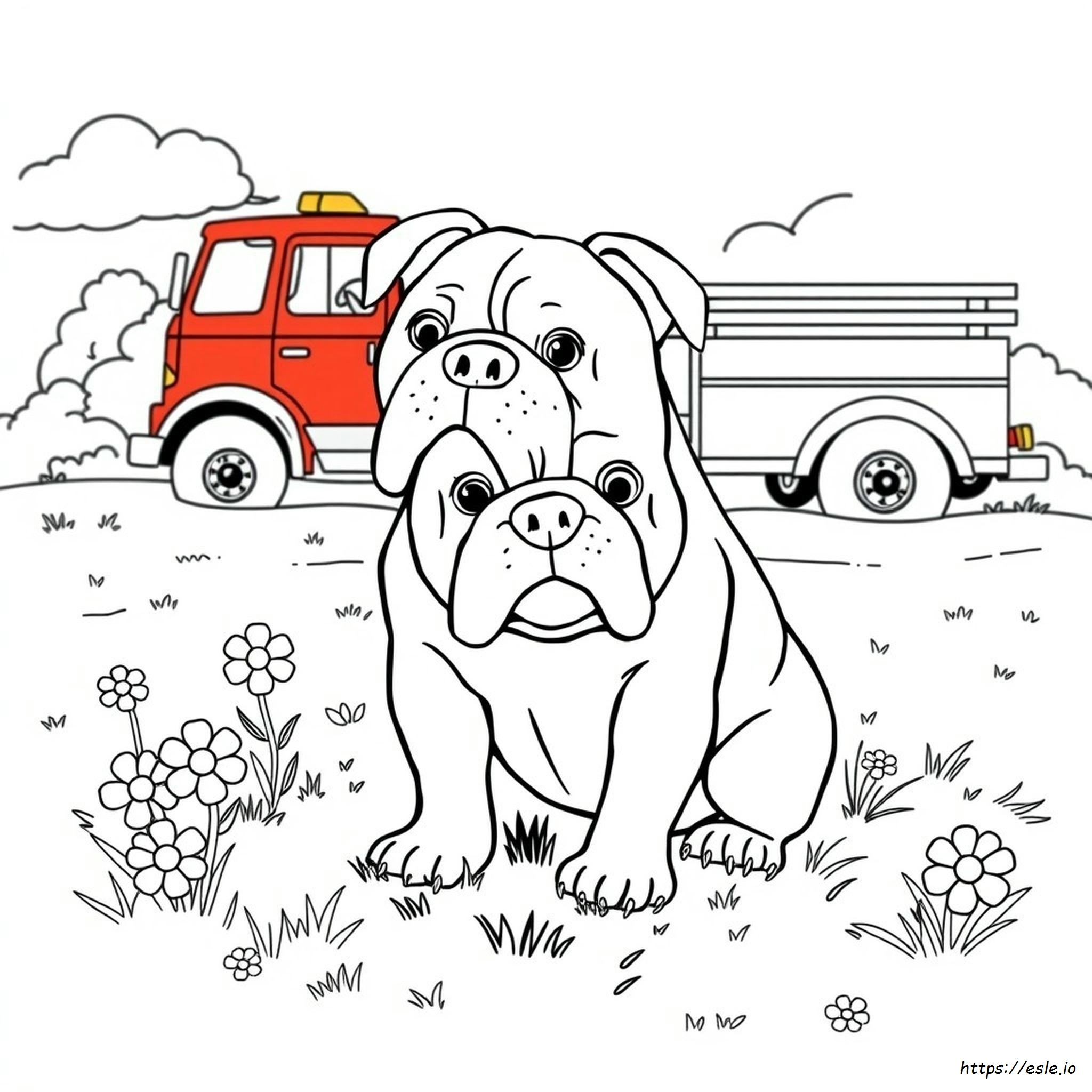 Bulldog Colouring In