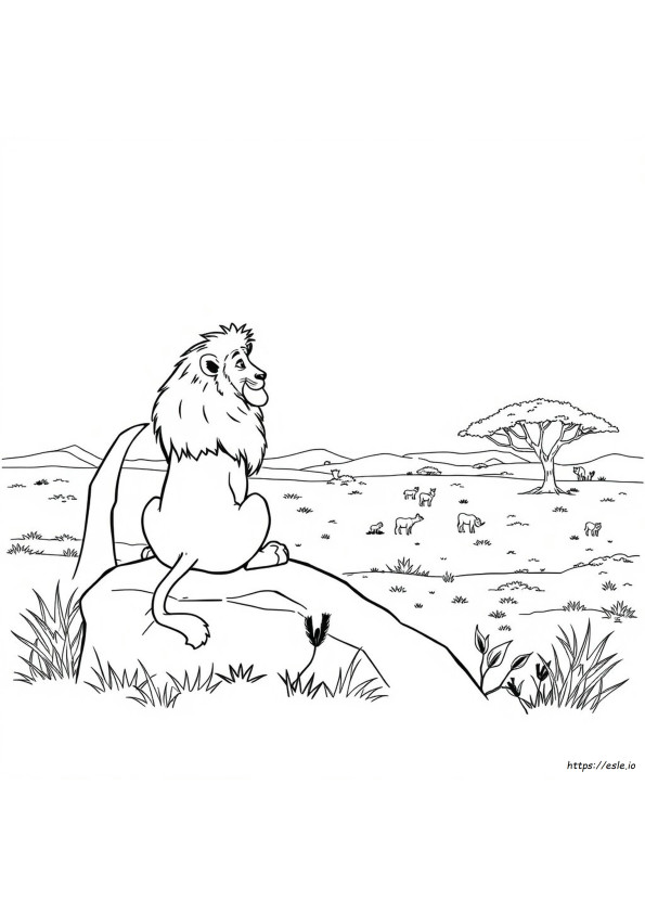 Lion King Colouring Pictures