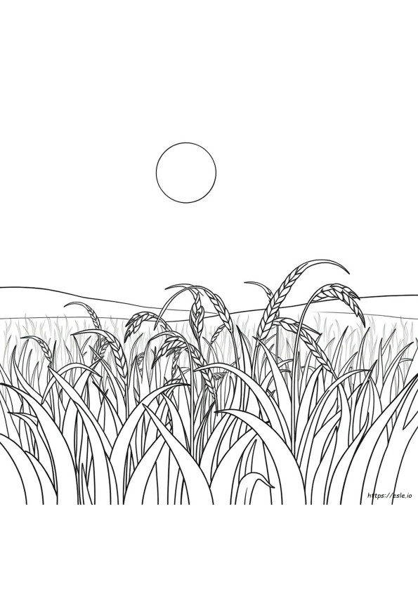 Coloriage Riz