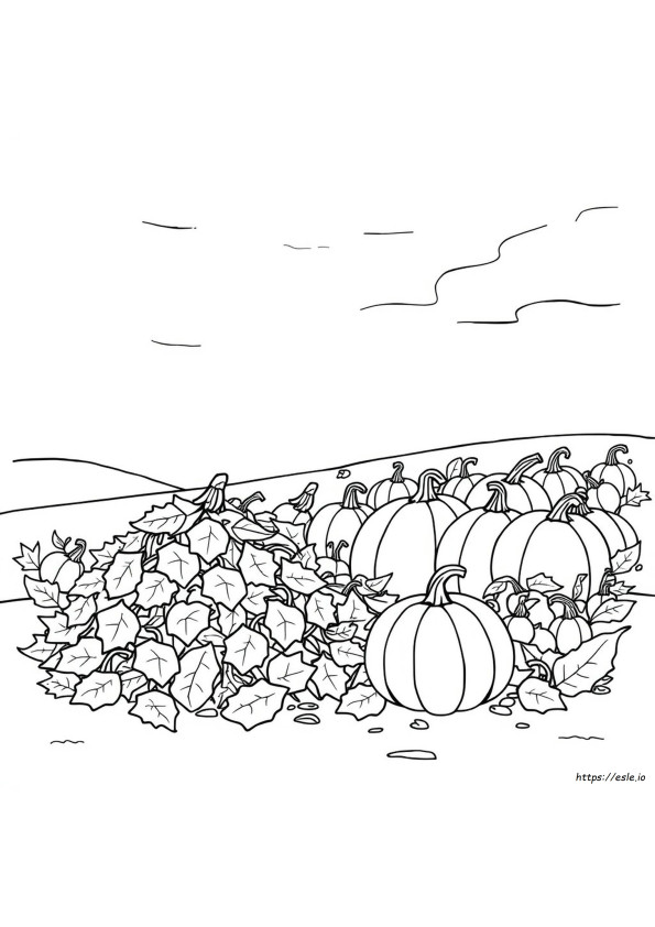 Cibo Autunnale Da Colorare