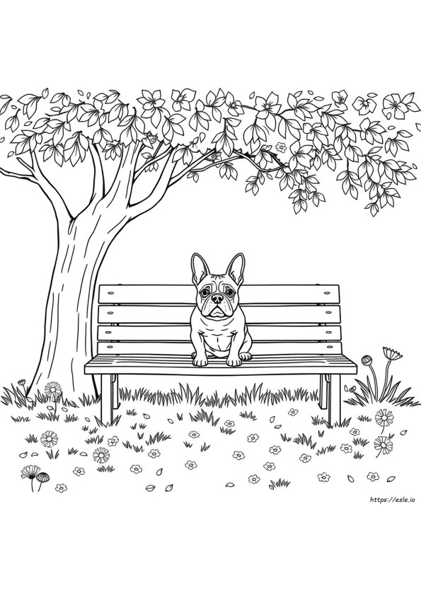 French Bulldog Colouring