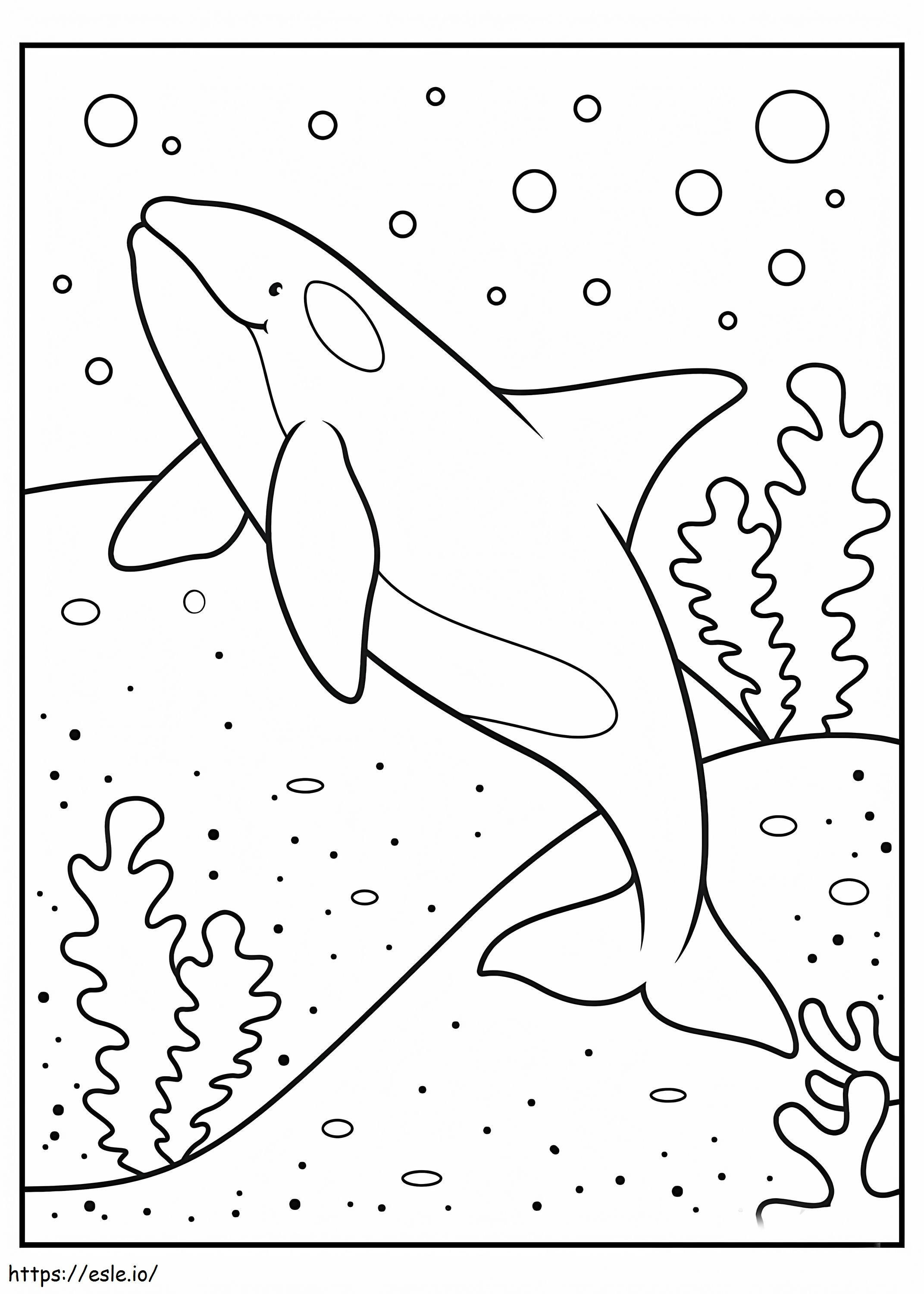 基本的なクジラ ぬりえ - 塗り絵