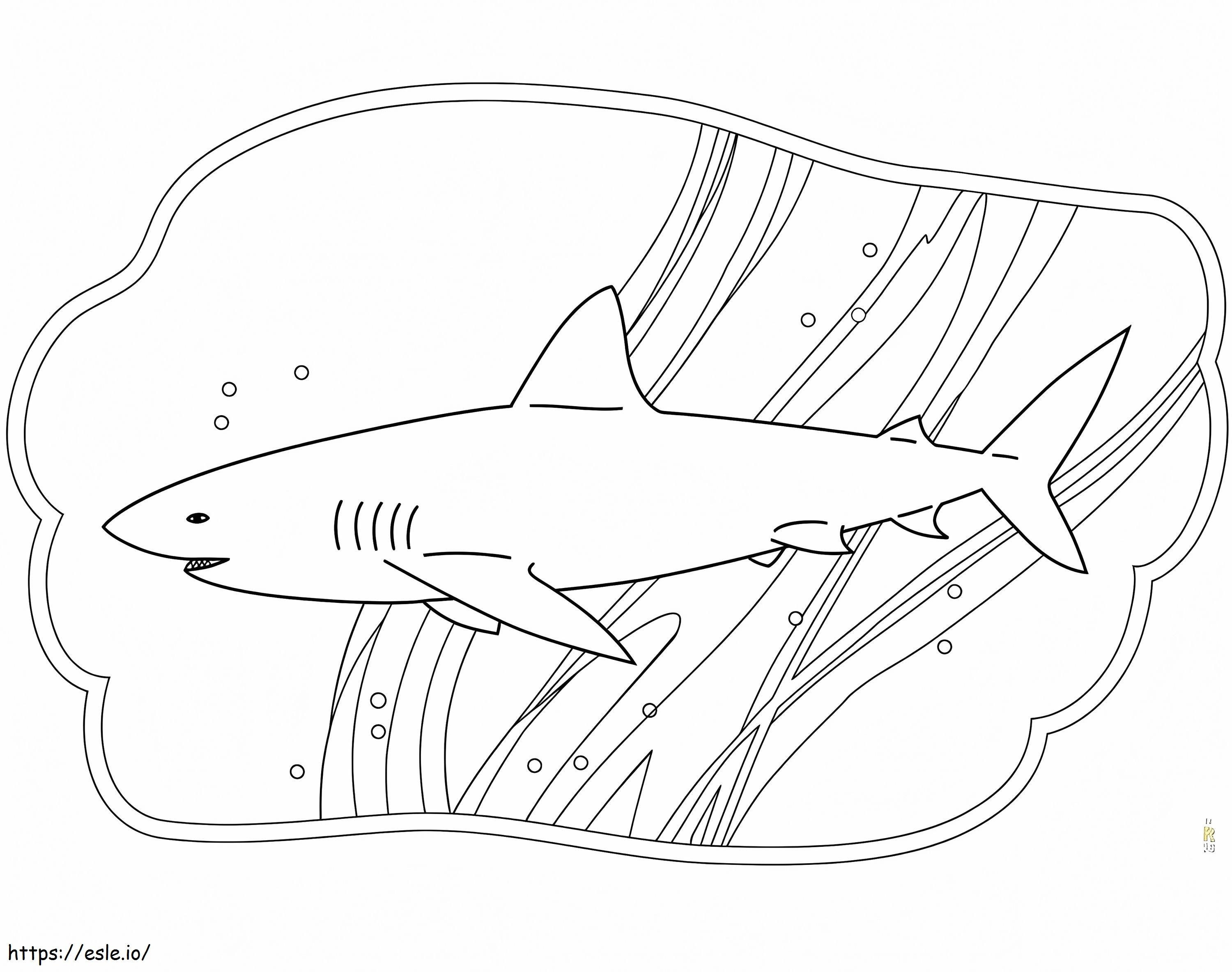 tubarão livre para colorir