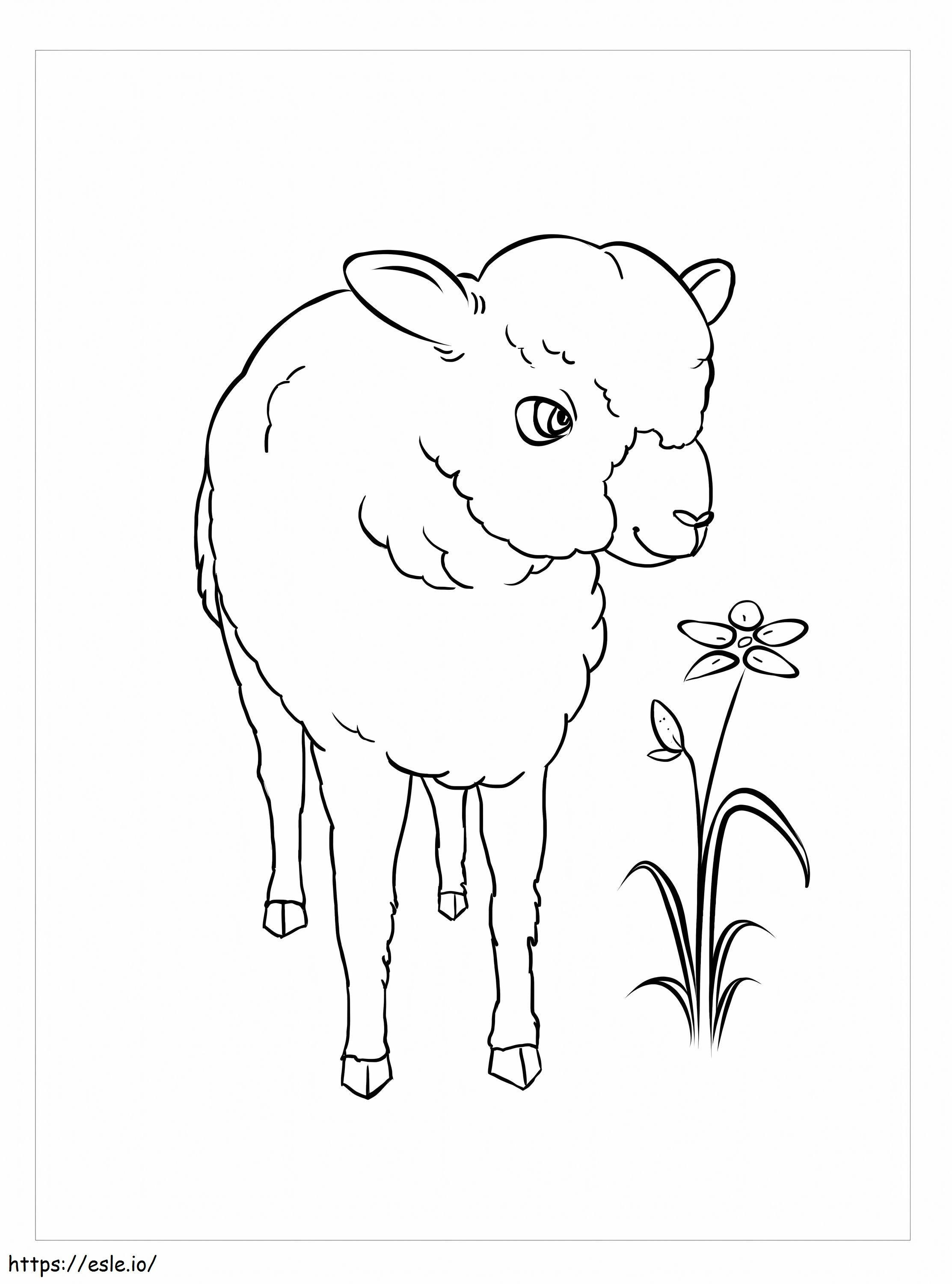 Domba Dengan Bunga Gambar Mewarnai