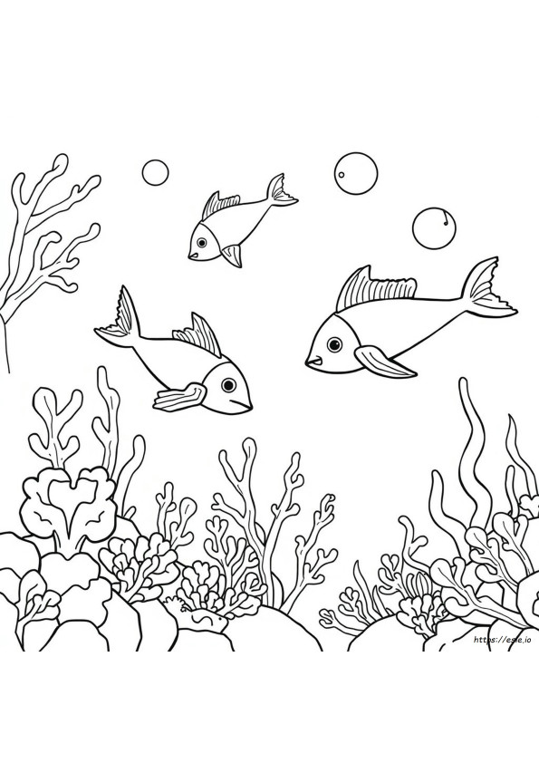 Free Coloring Pages Sea Creatures