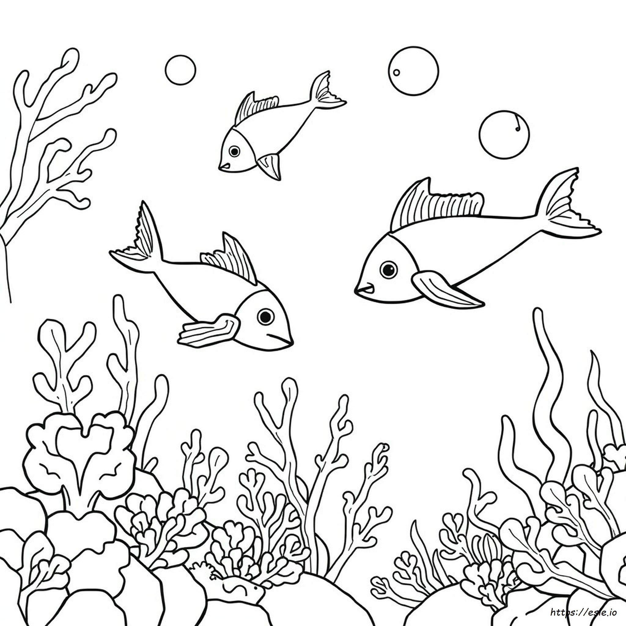 Creature Marine Da Colorare Gratis