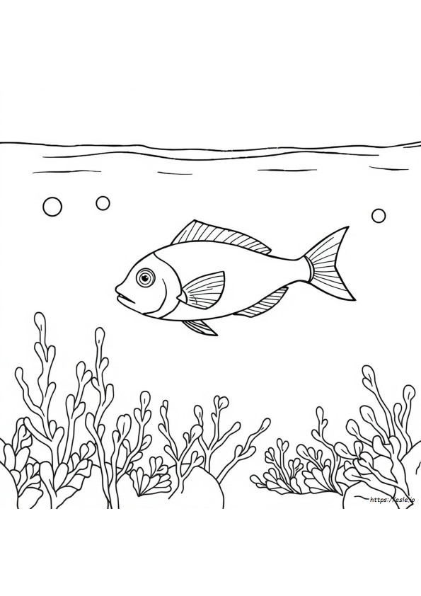 Water Coloring Book