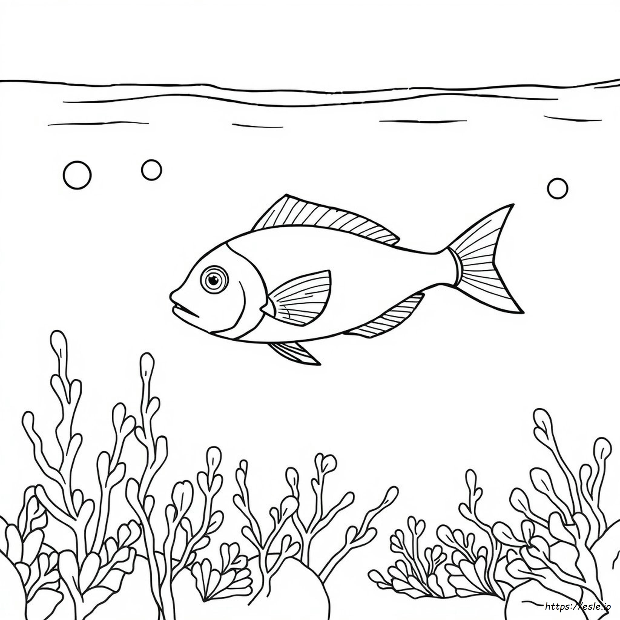 Libro Para Colorear De Agua
