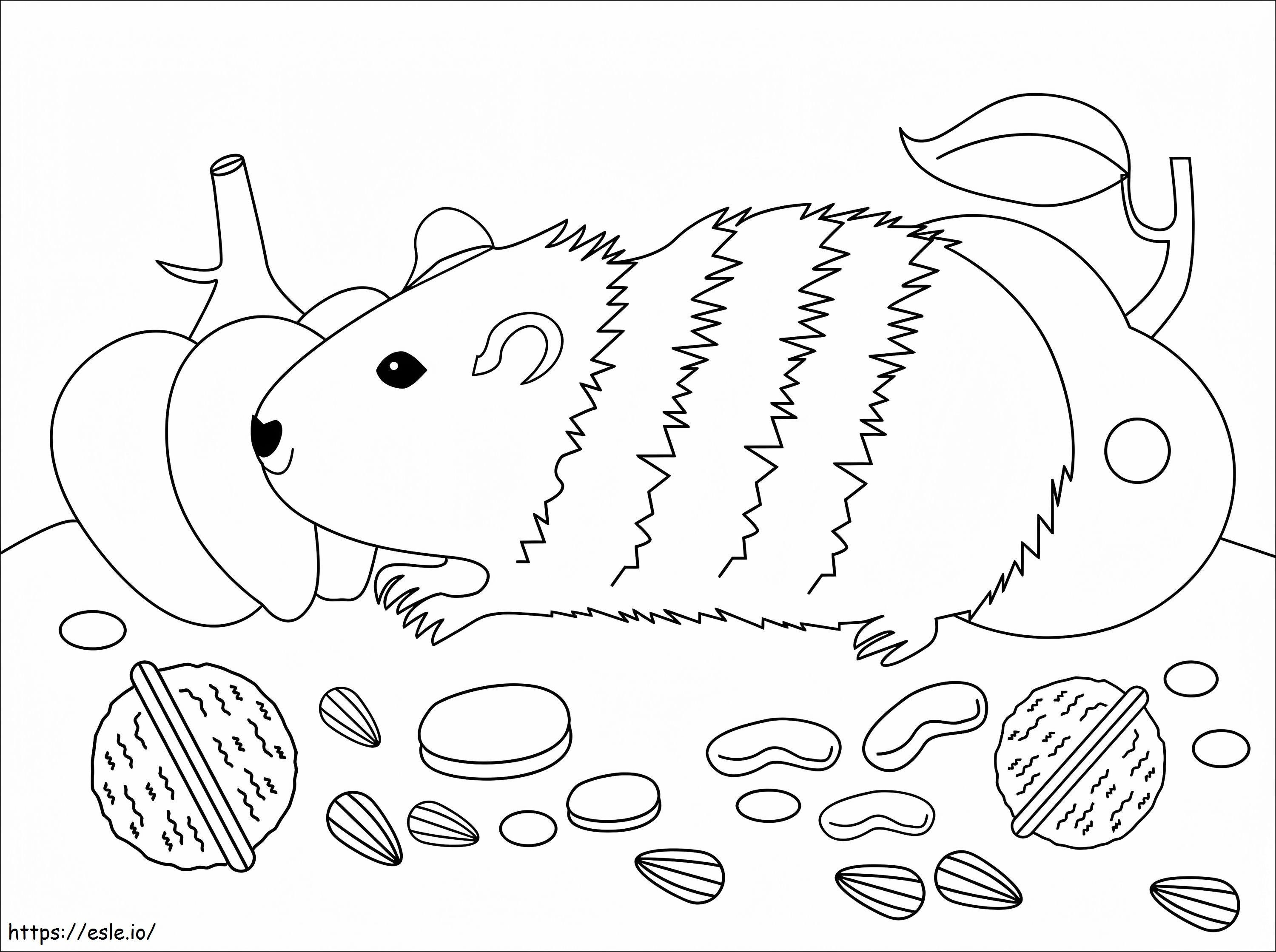 Cute Guinea Pig coloring page