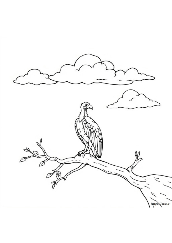 Abutre Para Colorir E Imprimir